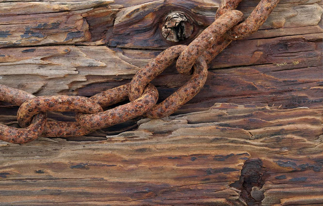 Photo wallpaper trees, Board, chain, iron