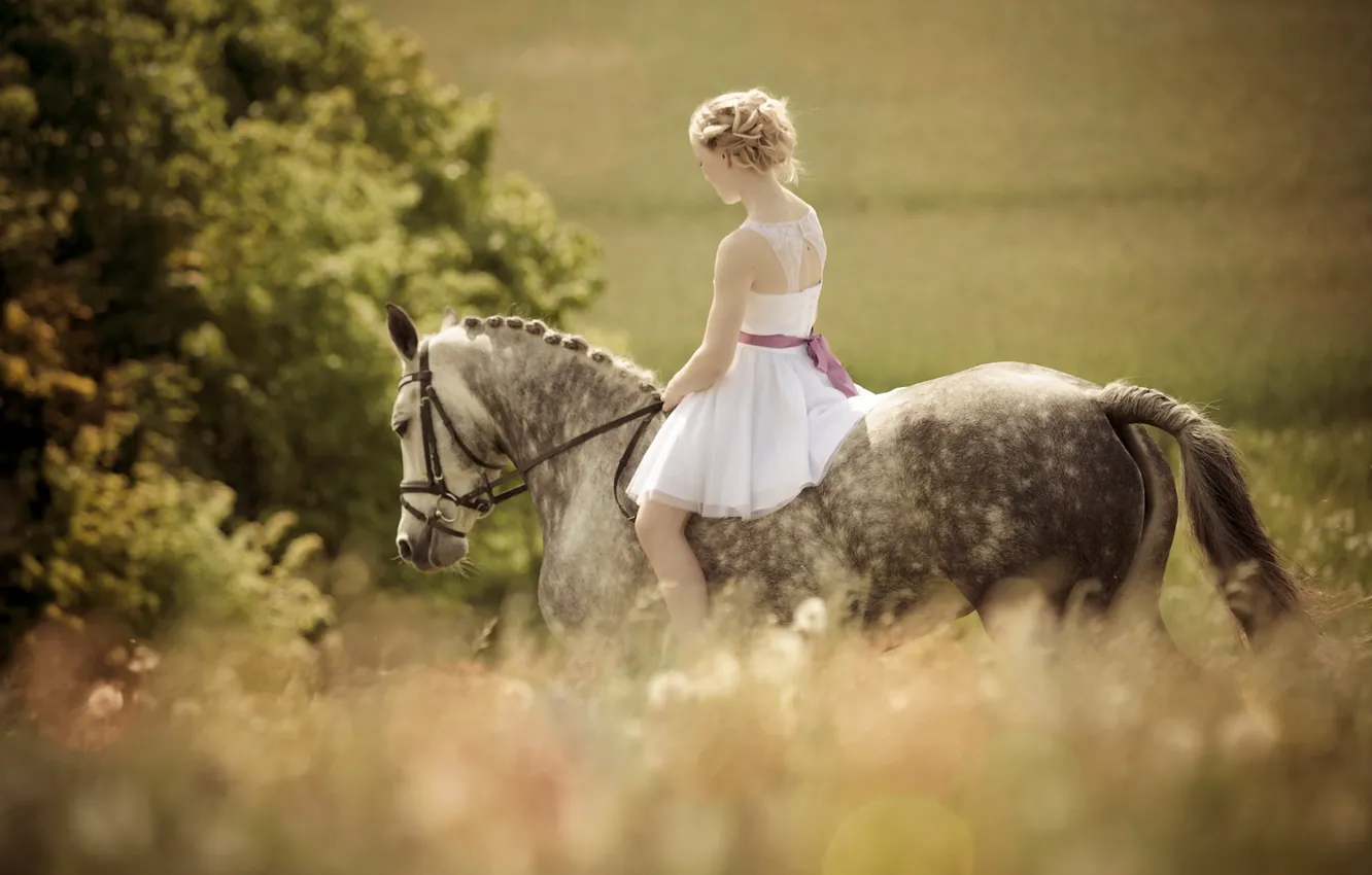 Photo wallpaper girl, horse, blonde