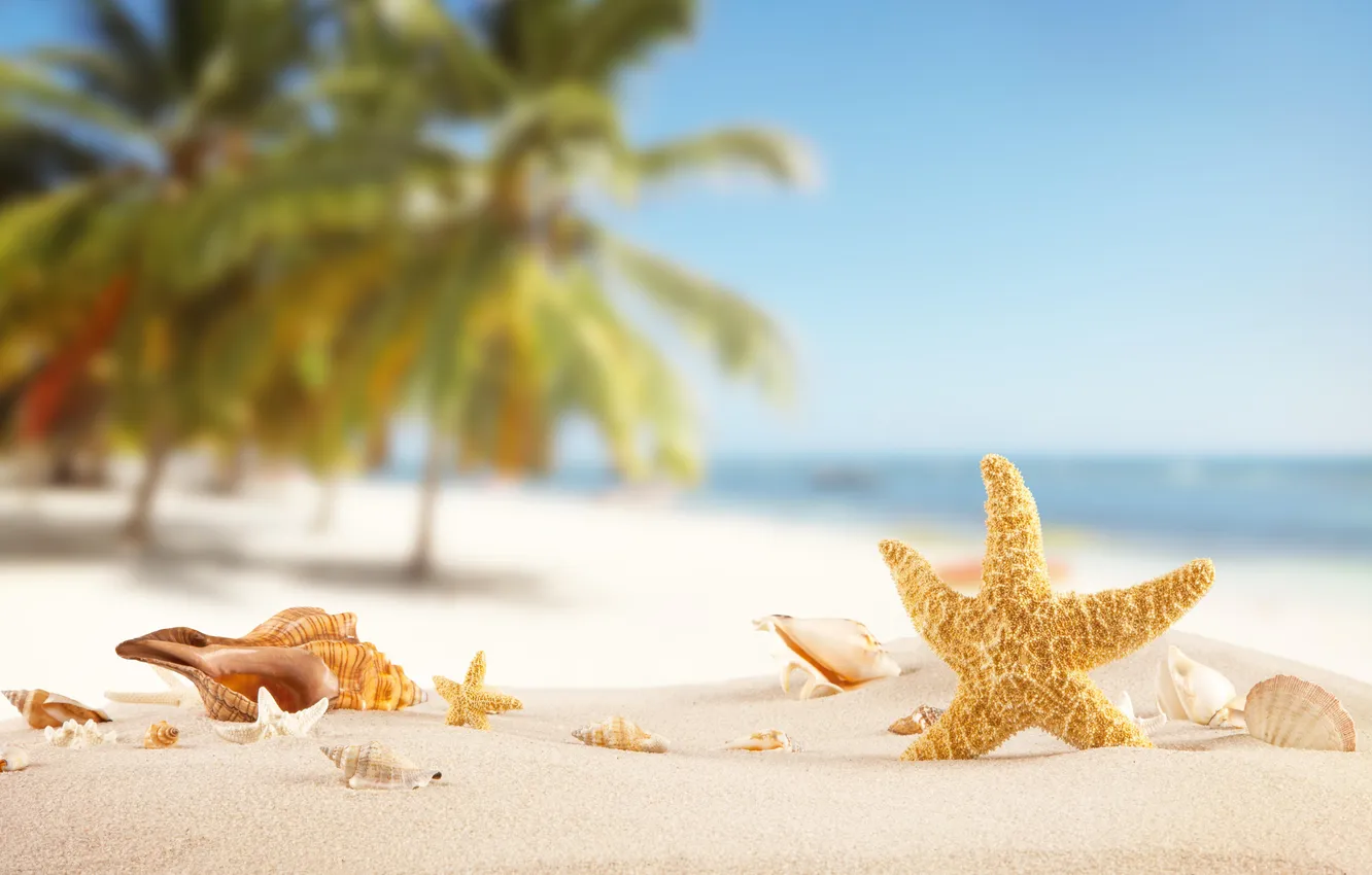 Photo wallpaper sand, sea, wave, beach, summer, the sky, palm trees, shore