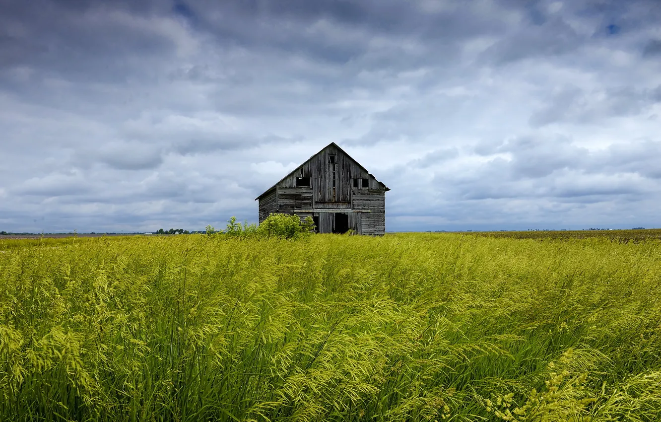 Photo wallpaper field, landscape, home