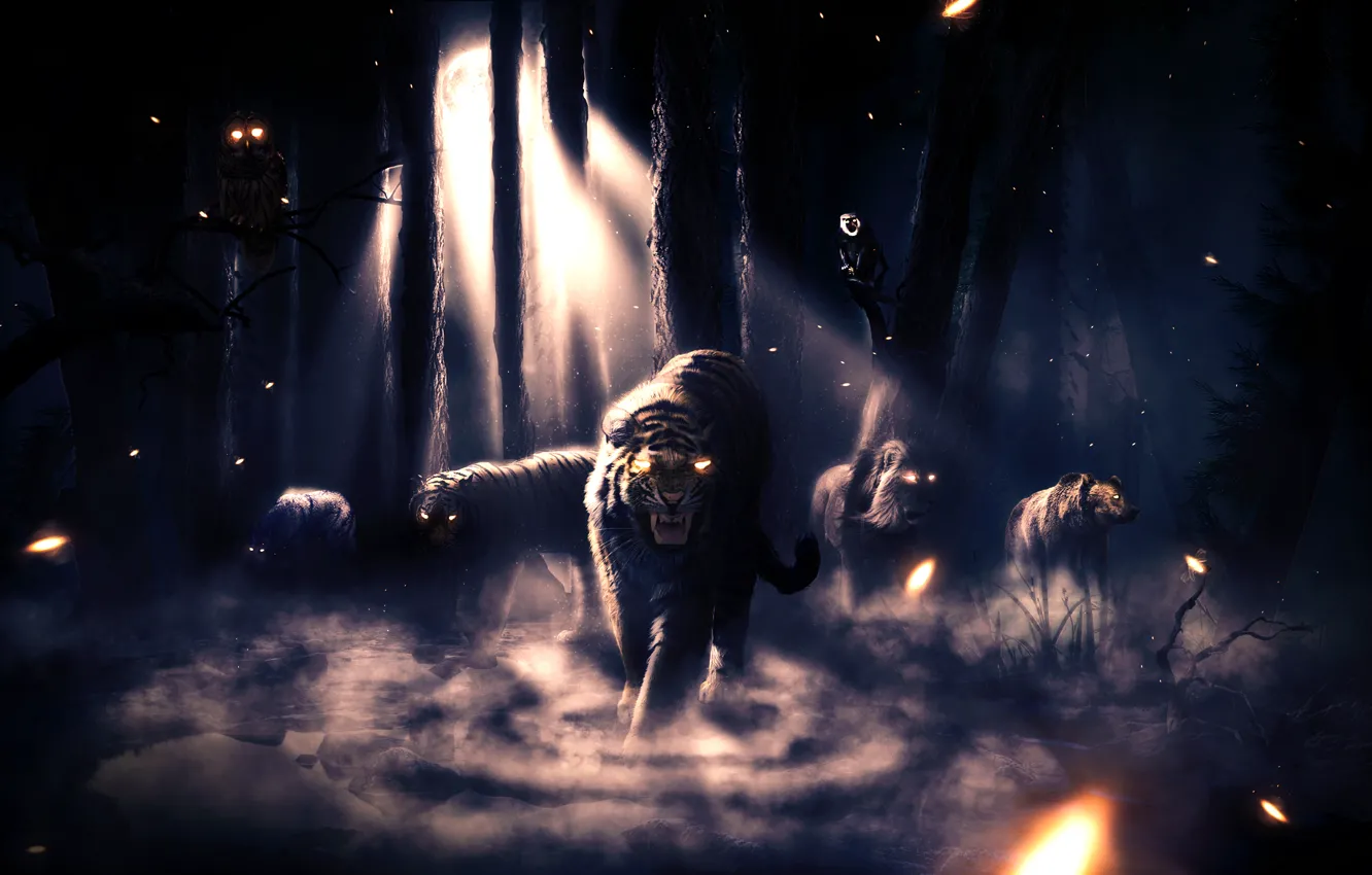 Photo wallpaper forest, night, tiger, fog, animal, wolf, Leo, bear