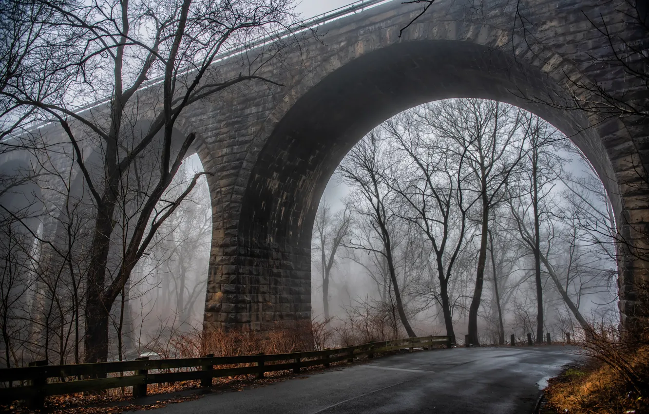 Photo wallpaper road, bridge, fog