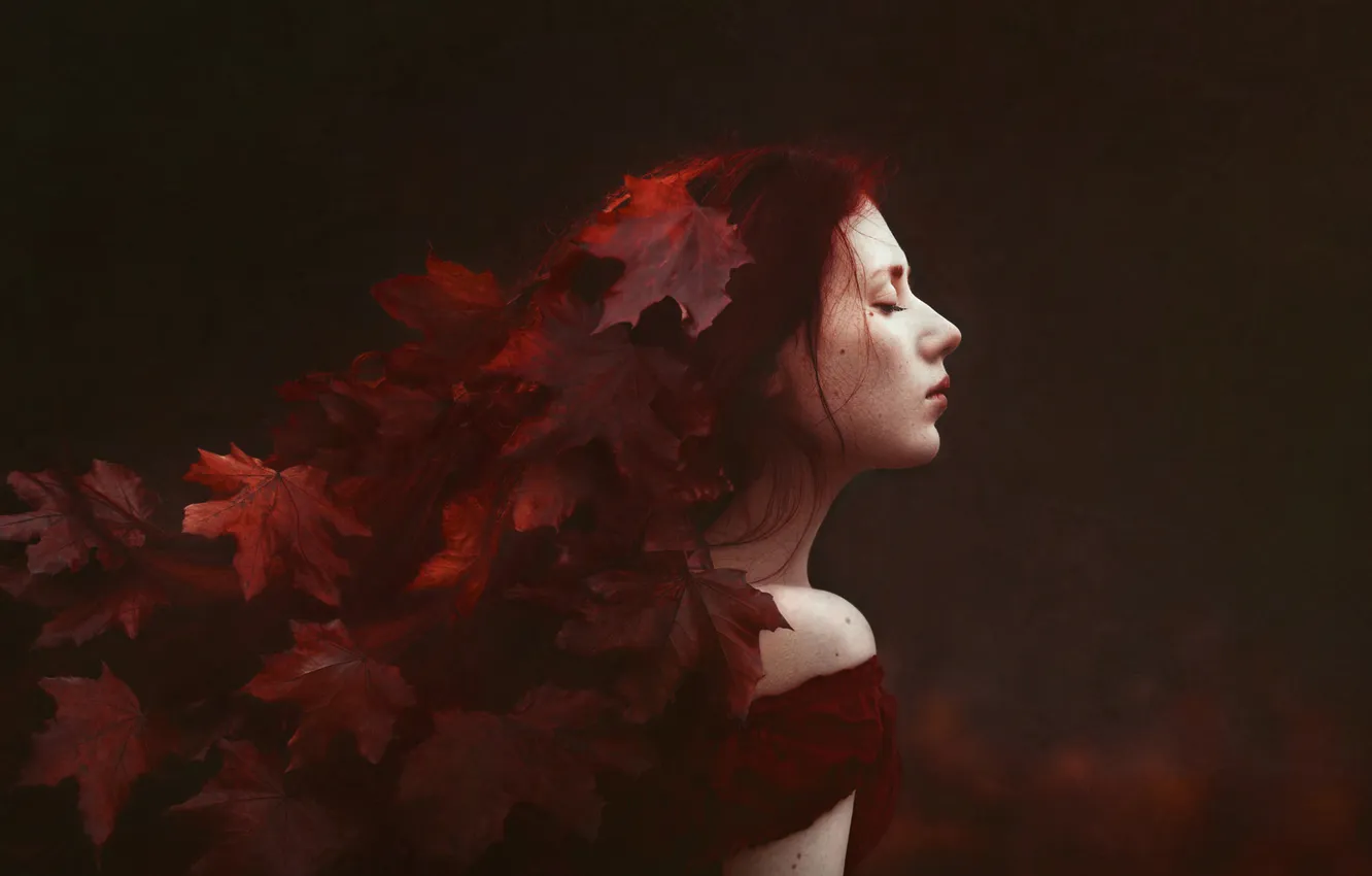 Photo wallpaper autumn, girl, style, the dark background, foliage, cosplay, Eva Wald, proifl