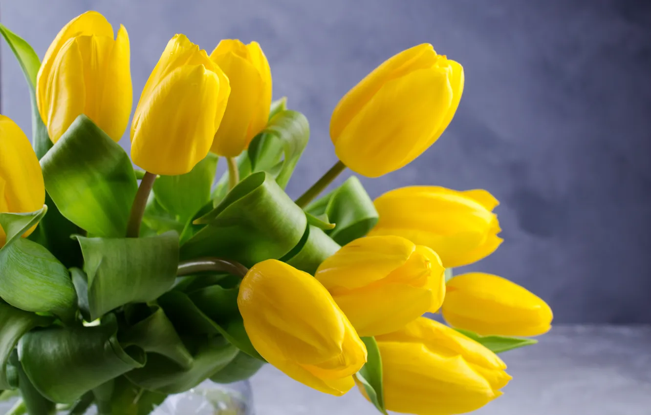 Photo wallpaper flowers, yellow, background, bouquet, tulips, beautiful, Irinka Vasilinka