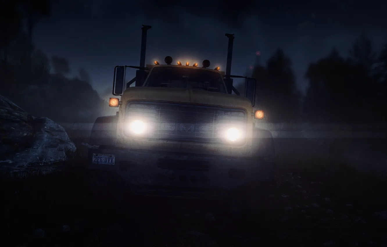Photo wallpaper HDR, light, game, trees, wood, night, truck, UHD