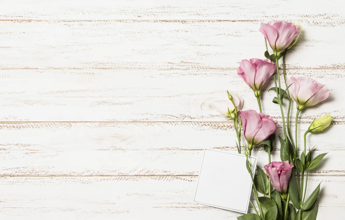 Photo wallpaper flowers, bouquet, wood, pink, flowers, eustoma, eustoma