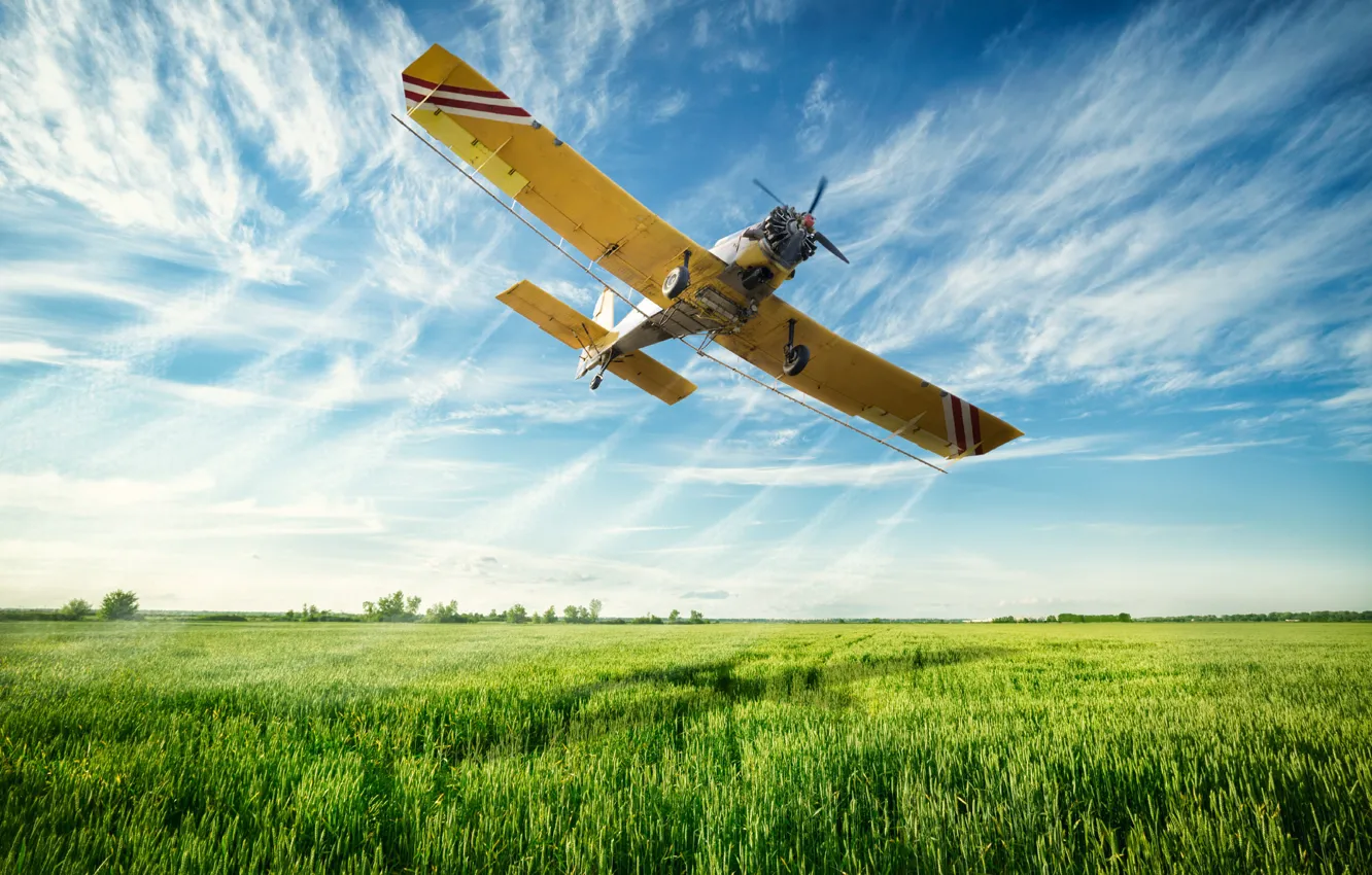 Photo wallpaper field, the sky, clouds, flight, landscape, horizon, the plane, airplane
