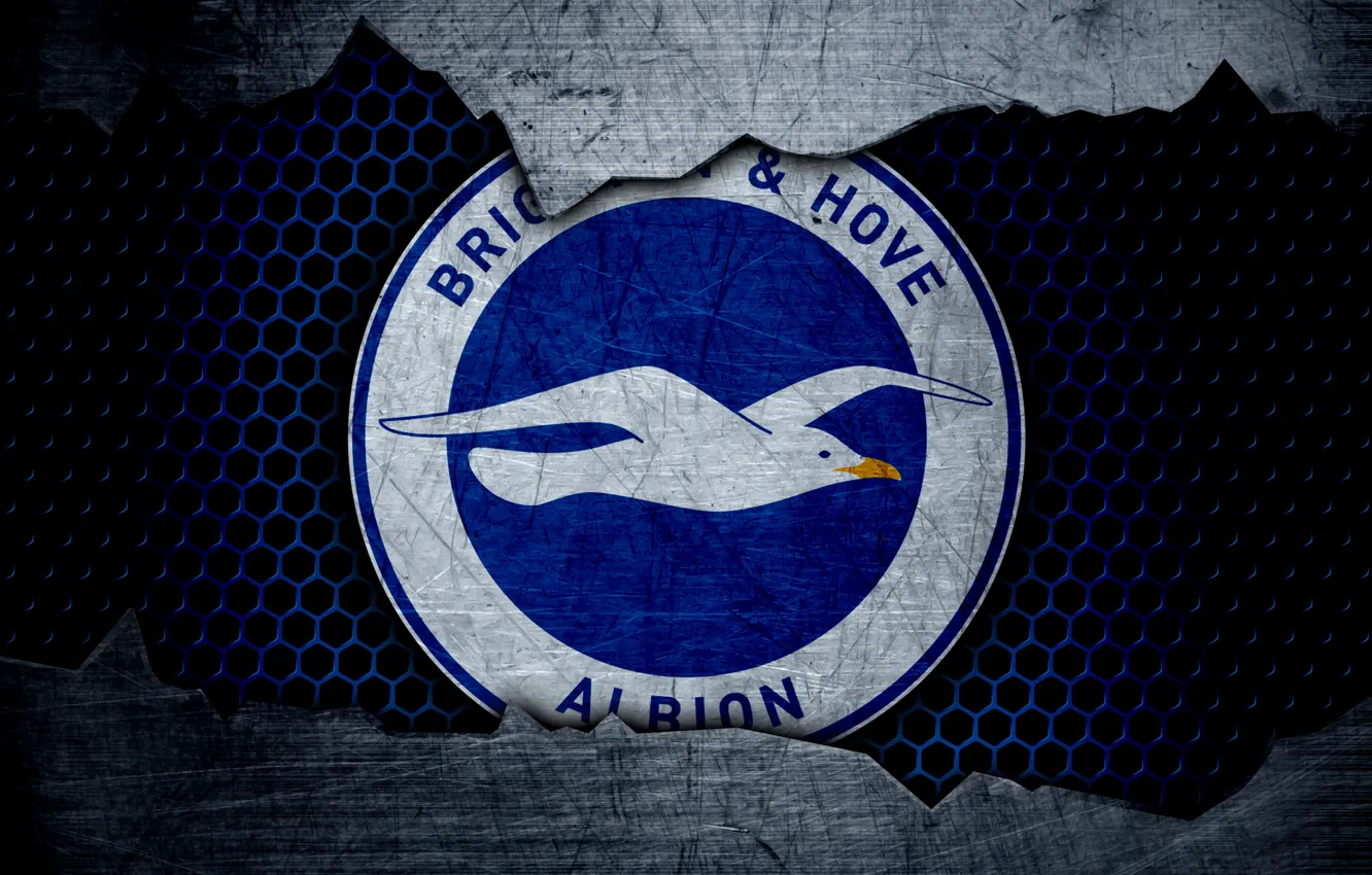 Wallpaper wallpaper, sport, logo, football, Brighton & Hove Albion for ...