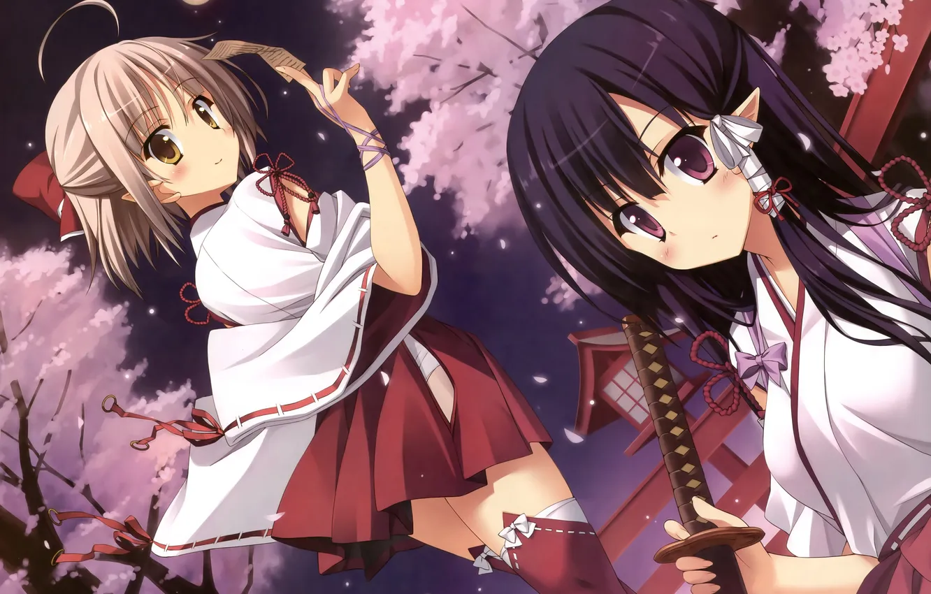 Photo wallpaper the sky, clouds, trees, night, weapons, girls, the moon, katana