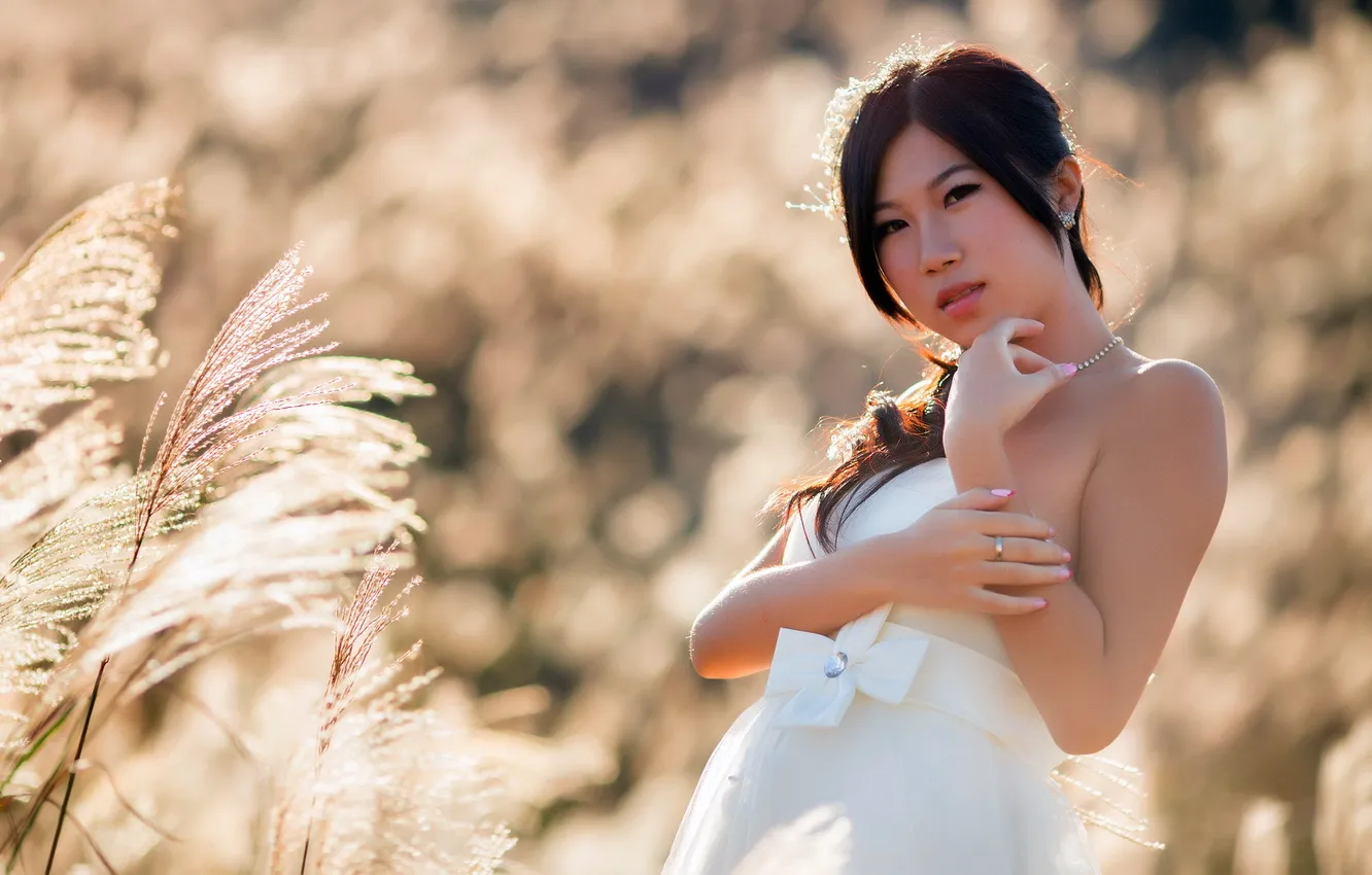 Photo wallpaper field, summer, girl