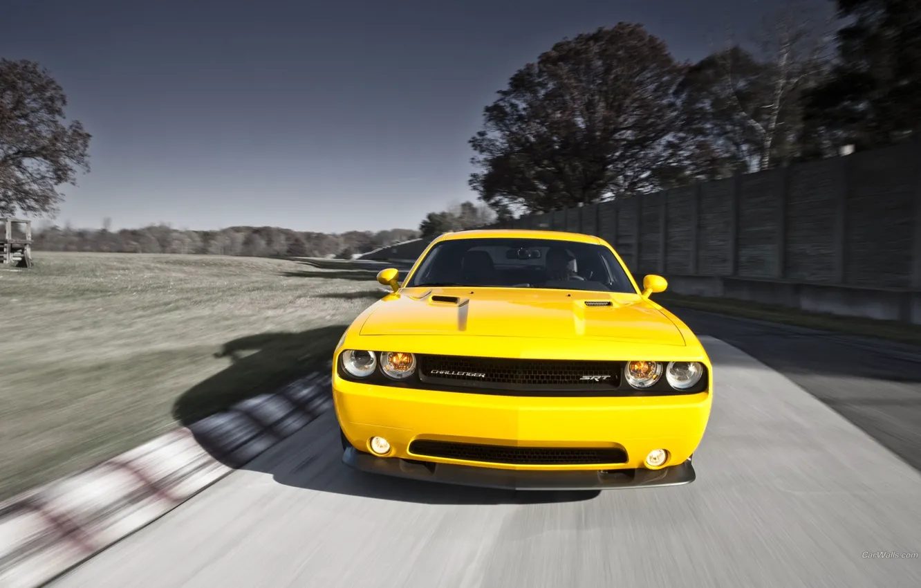 Photo wallpaper yellow, yellow, Dodge Challenge, Dodge Challenger