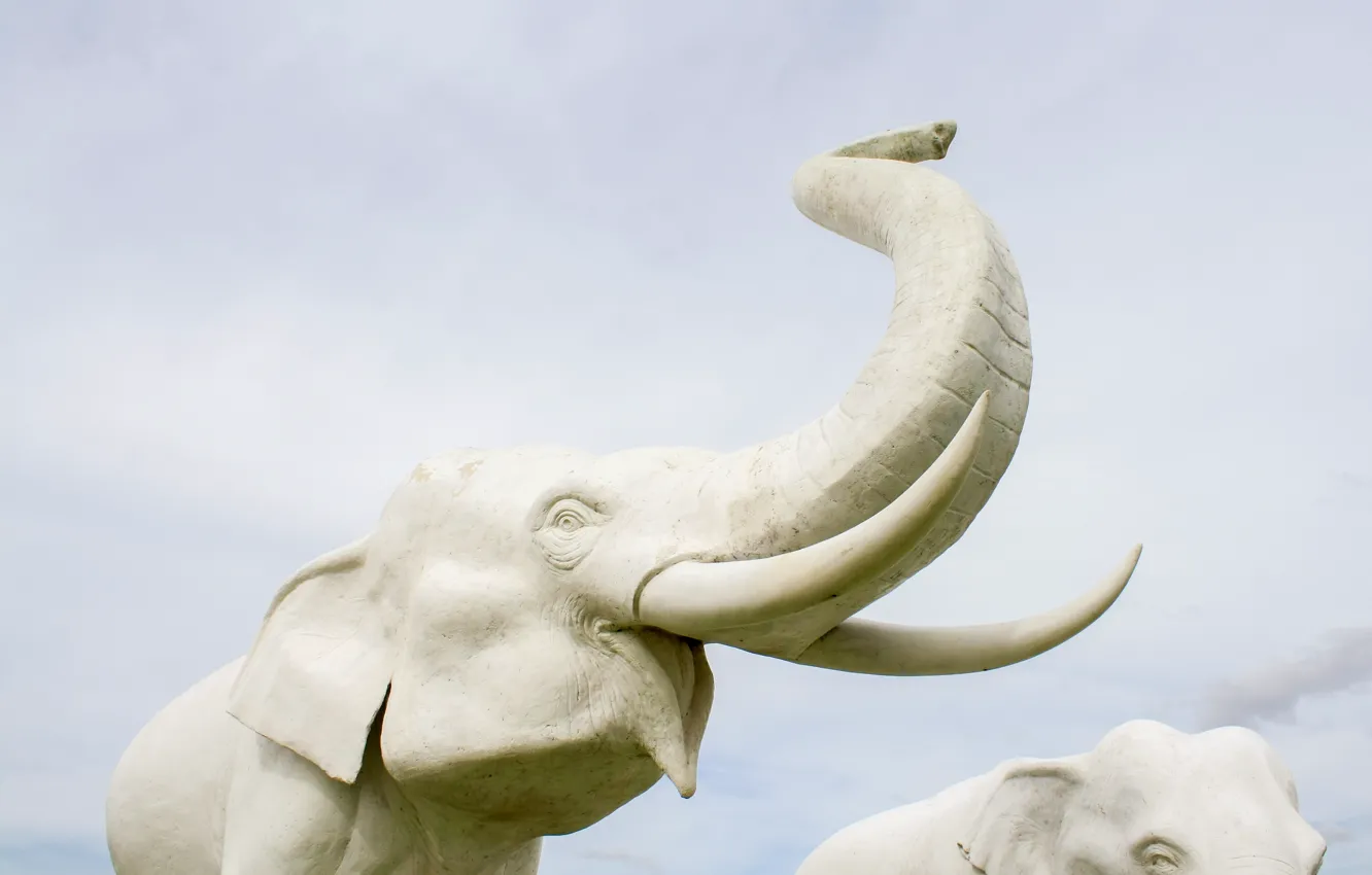 Photo wallpaper white, elephant, statue