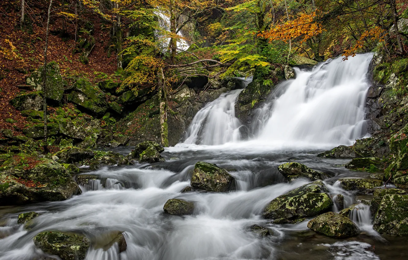 Photo wallpaper autumn, forest, river, stones, waterfall, Italy, cascade, Italy