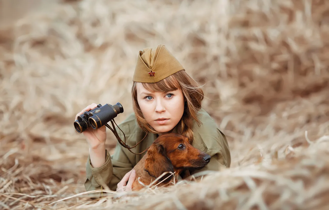 Photo wallpaper girl, dog, soldiers, hay, binoculars, Dachshund, pussy, photographer Svetlana Nicotine