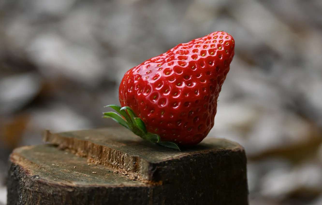 Photo wallpaper background, stump, strawberry, berry, bokeh