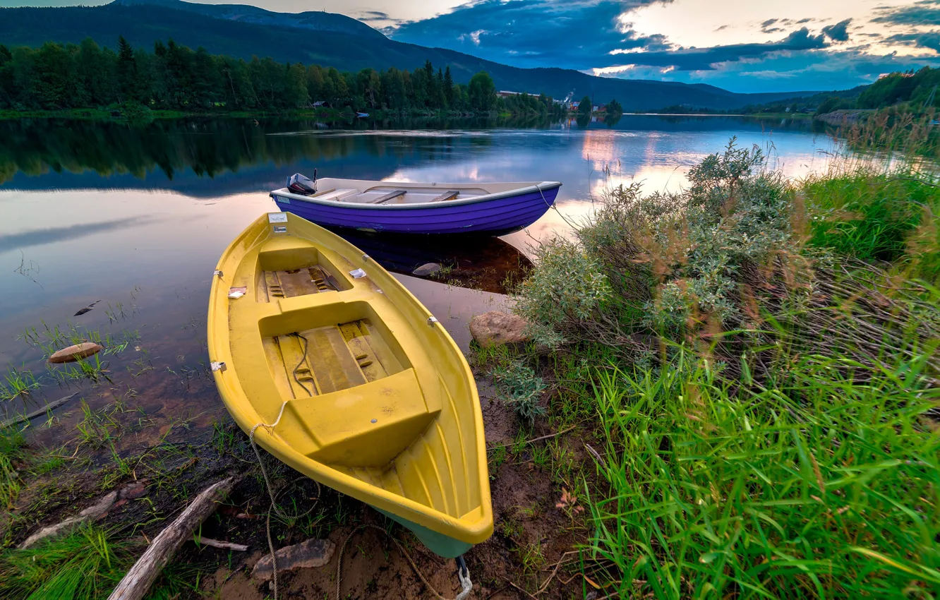 Photo wallpaper forest, grass, trees, mountains, river, shore, boat, the evening