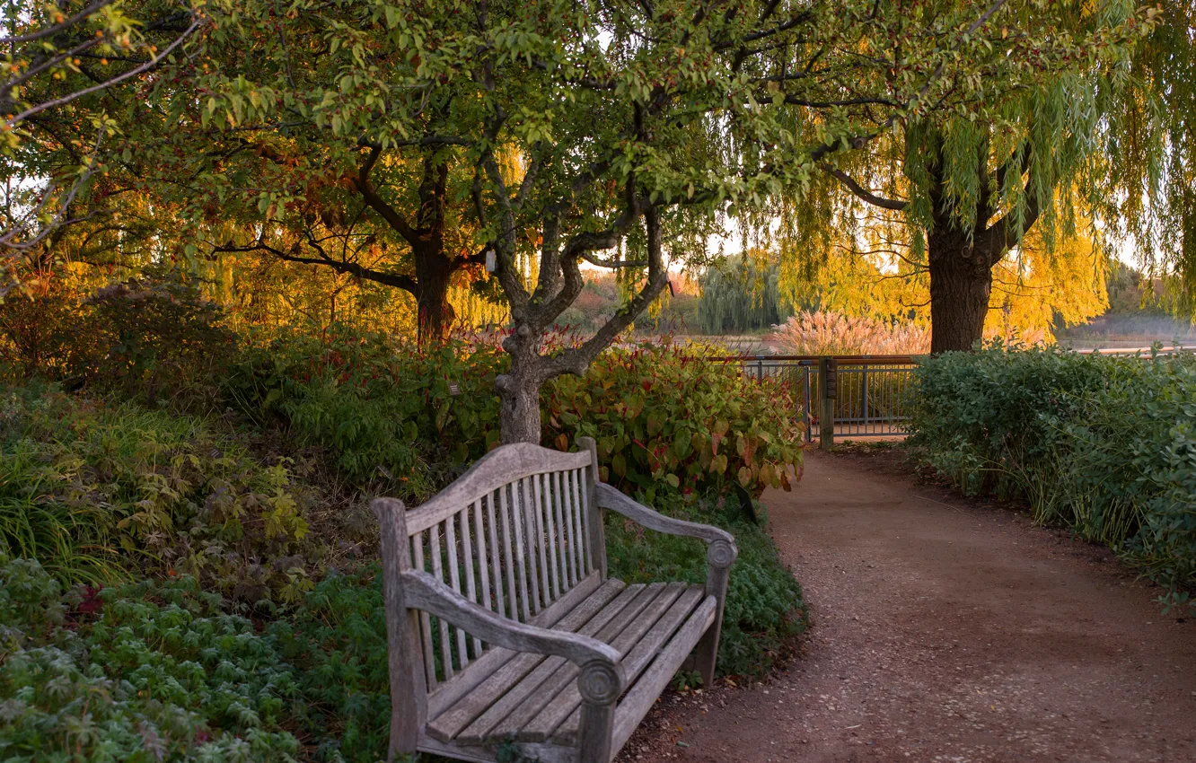 Photo wallpaper autumn, trees, bench, pond, Park, the fence, track, USA