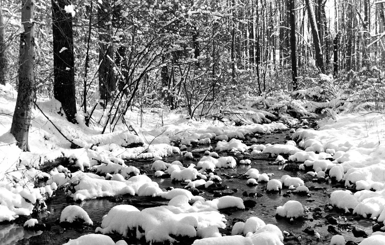 Photo wallpaper winter, snow, stream