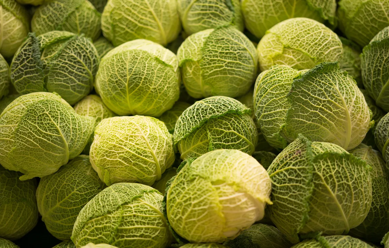 Photo wallpaper background, food, cabbage