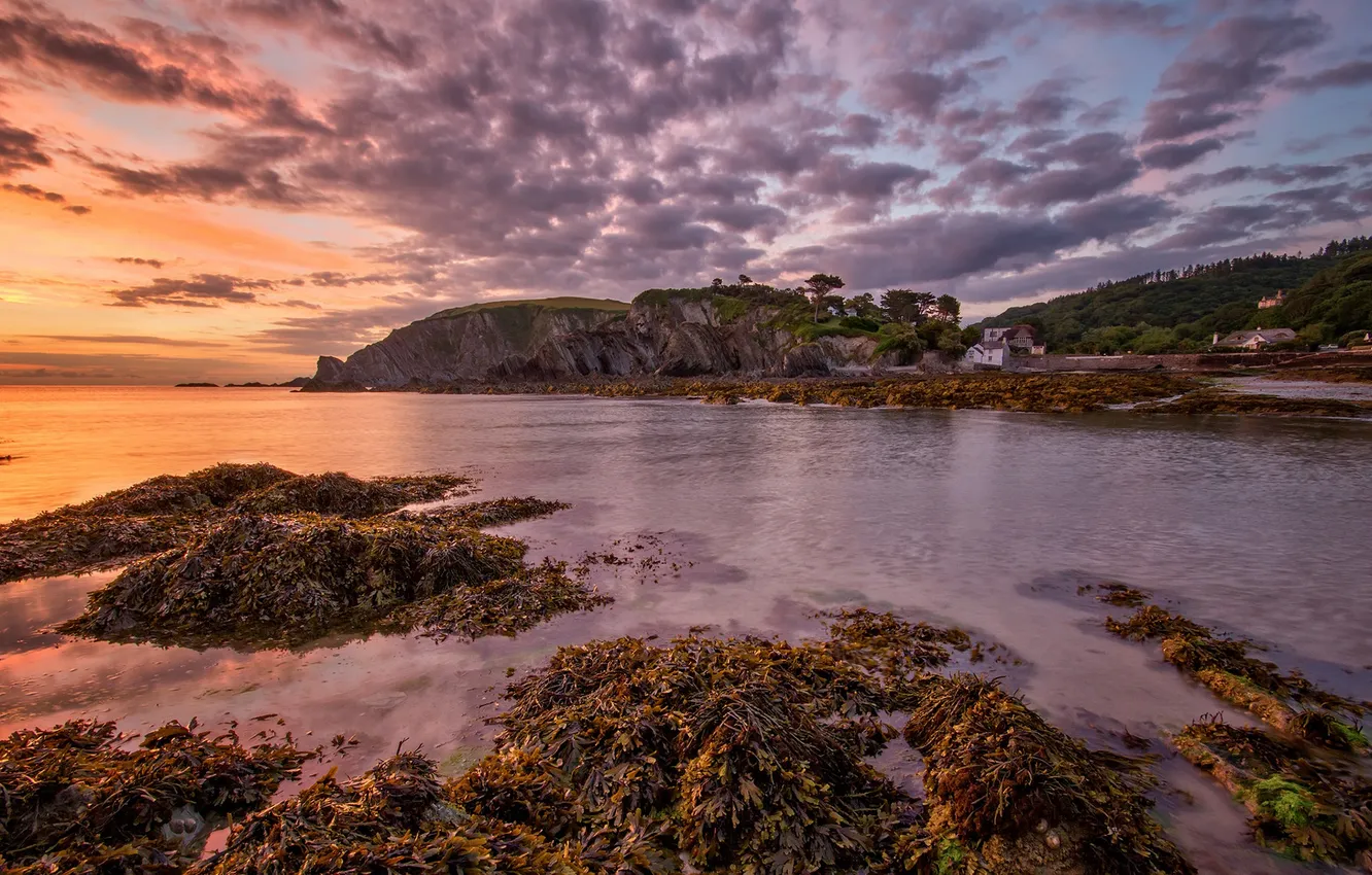 Photo wallpaper rock, sea, ocean, coast, sunrise