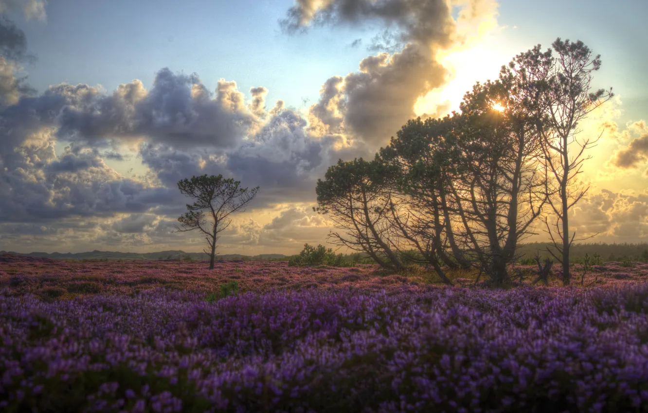 Photo wallpaper Denmark, Jutland, Colours ahead