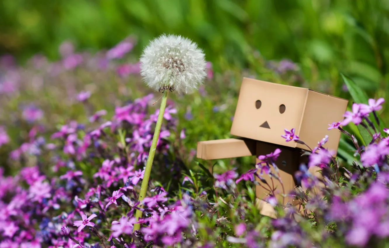 Photo wallpaper grass, macro, flowers, dandelion, plant, spring, pink, danbo