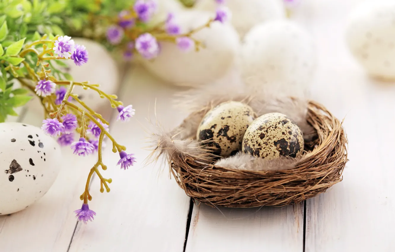 Photo wallpaper flowers, feathers, Easter, socket, happy, flowers, spring, Easter