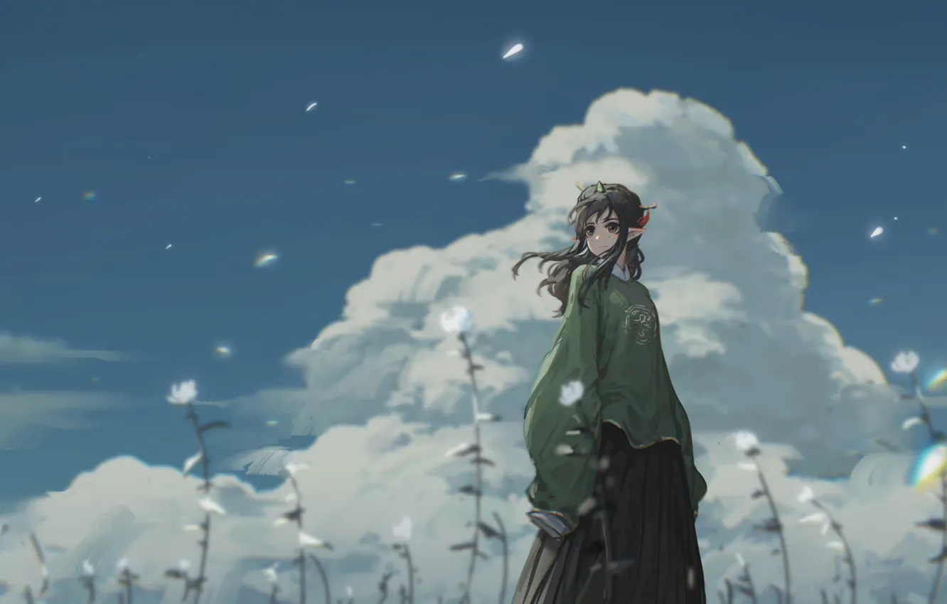 Photo wallpaper the sky, girl, clouds, meadow