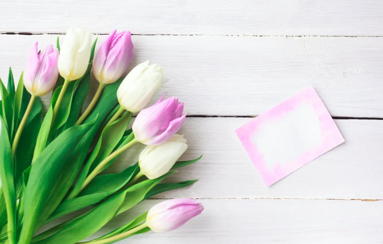 Photo wallpaper flowers, bouquet, tulips, pink, white, fresh, pink, flowers