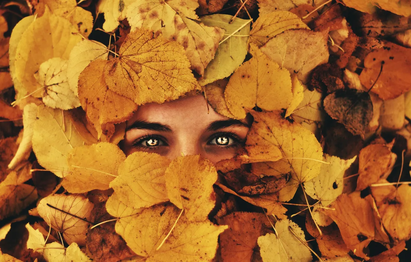 Photo wallpaper autumn, eyes, look, leaves, background
