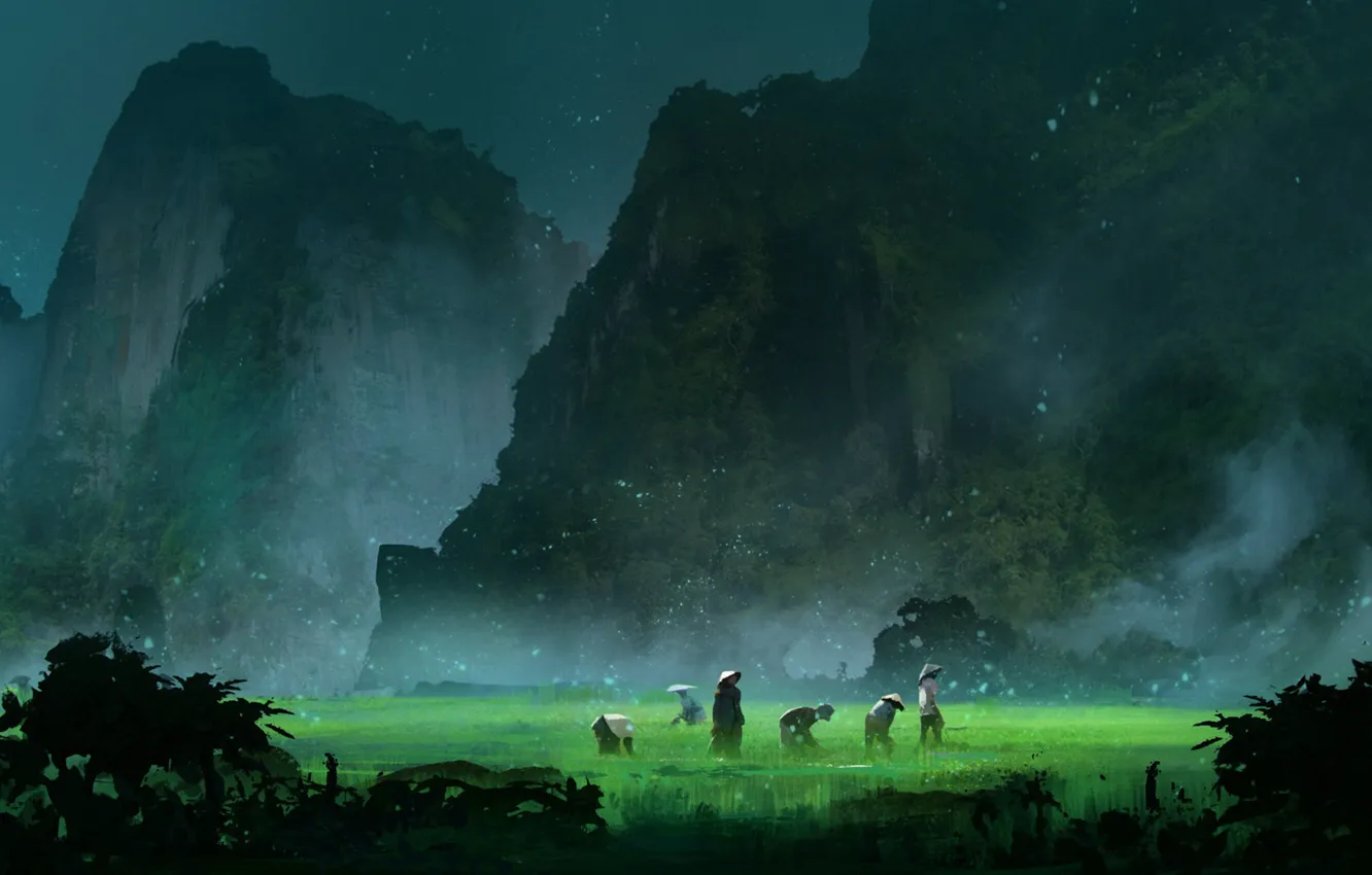 Photo wallpaper Valley, working, Firefly, Environments, Misty Day, Hernan Flores, by Hernan Flores, Rice Paddy