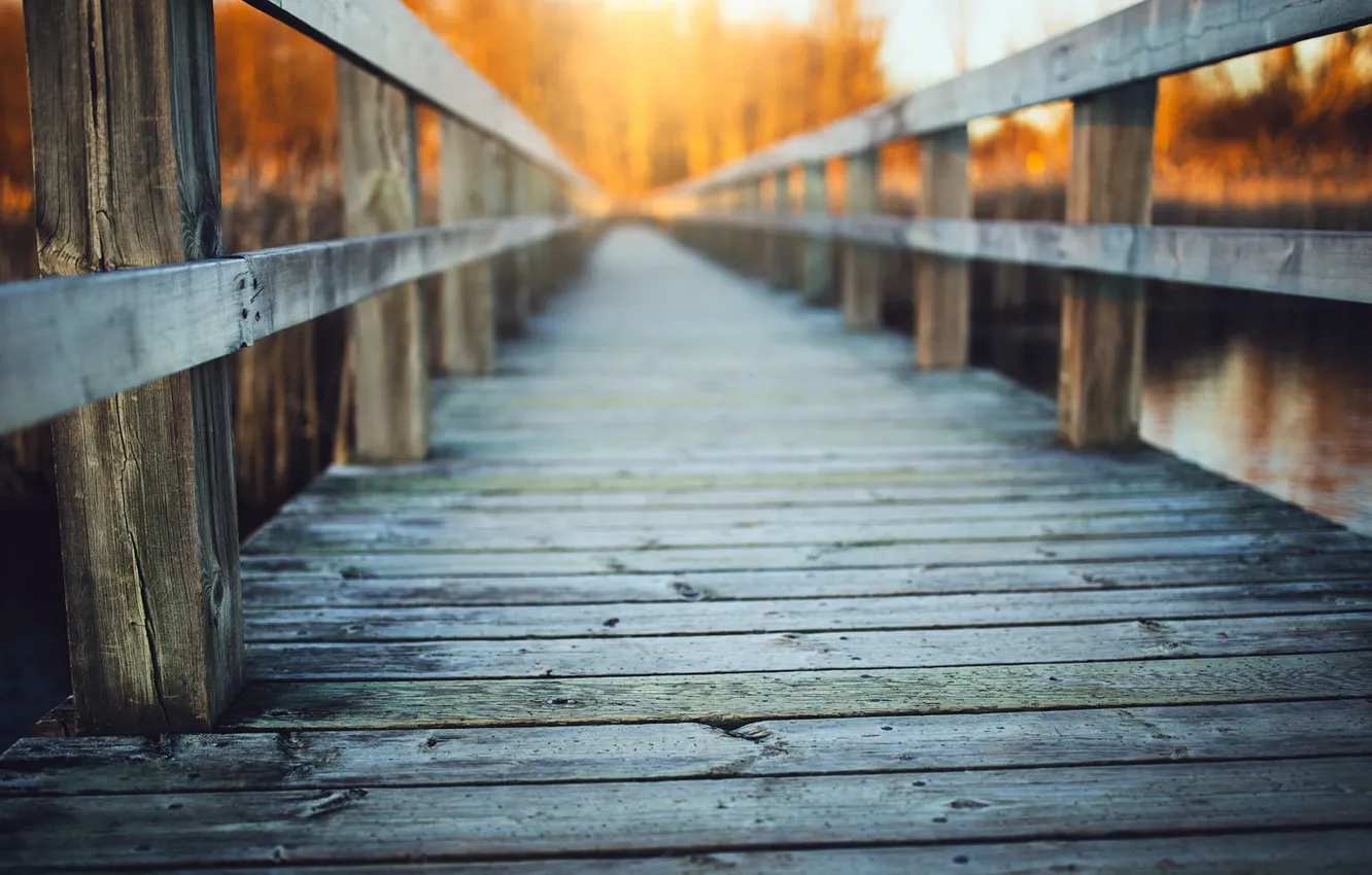 Photo wallpaper bridge, river, background