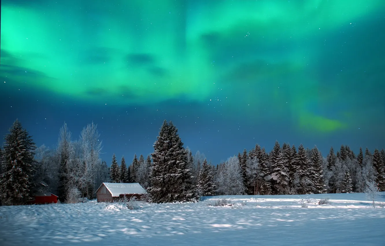 Photo wallpaper winter, forest, the sky, snow, night, nature, Northern lights, houses