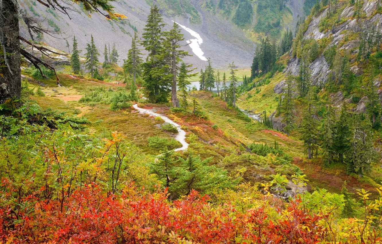 Photo wallpaper autumn, trees, mountains, river, gorge, Russia, the bushes, Far East