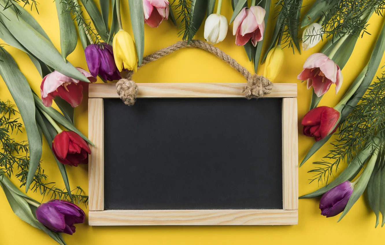 Photo wallpaper flowers, Board, colorful, tulips, flowers, beautiful, tulips, spring
