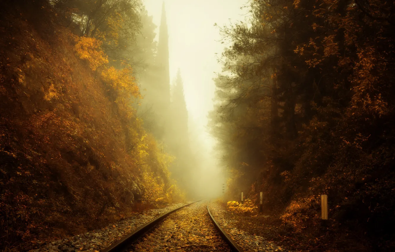 Photo wallpaper autumn, fog, railroad