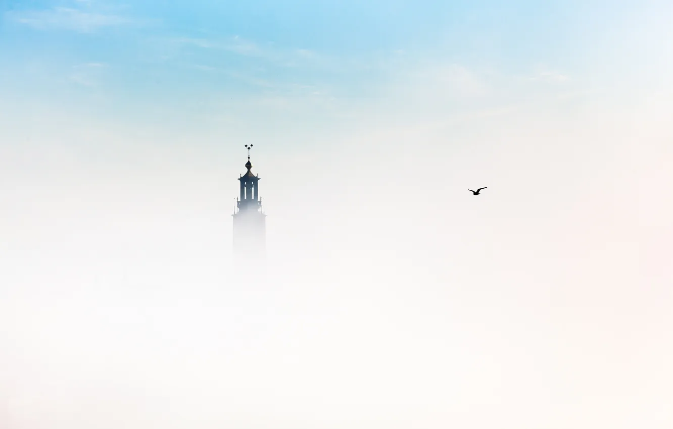 Photo wallpaper Sweden, bird, City Hall, Stockholm
