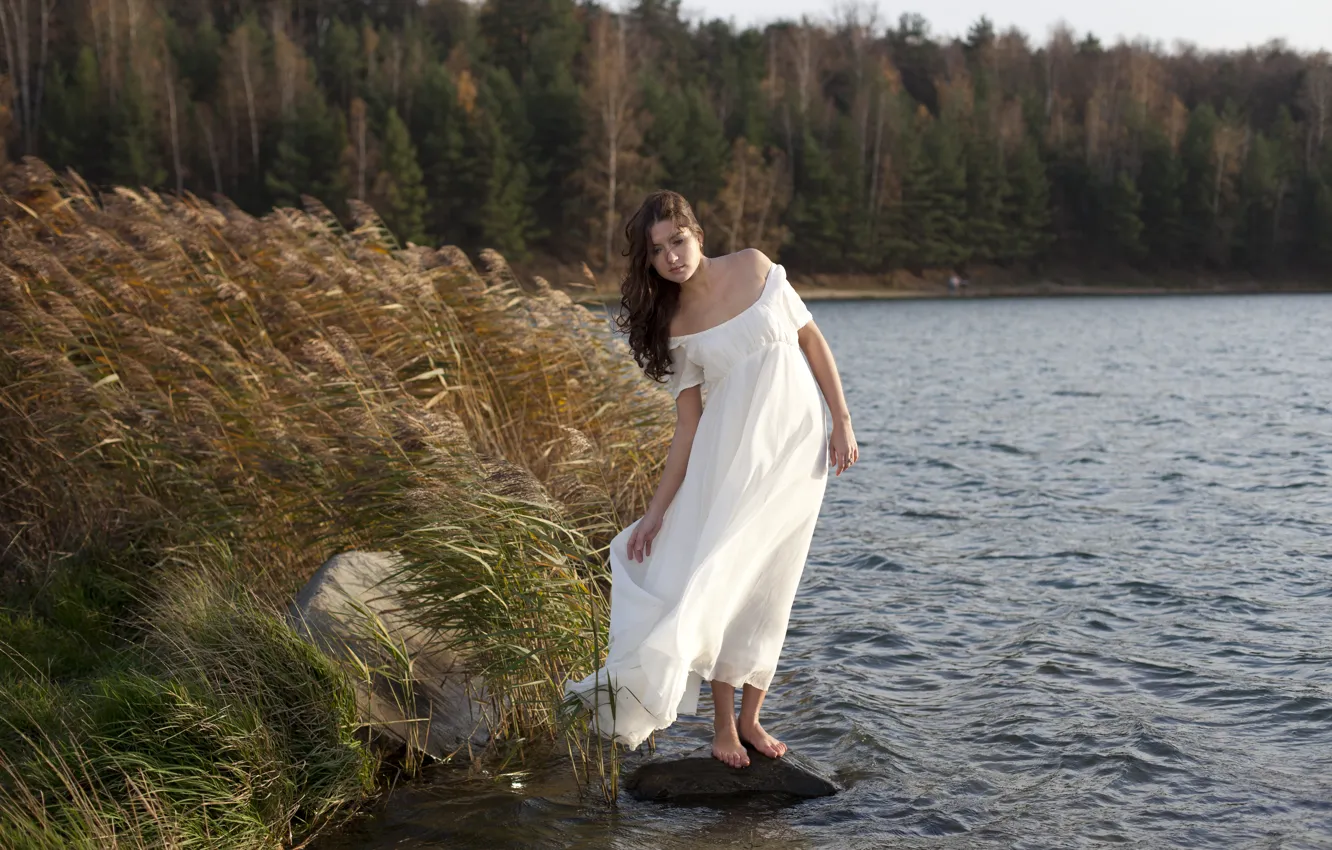 Photo wallpaper forest, girl, river, the wind, dress, brown hair