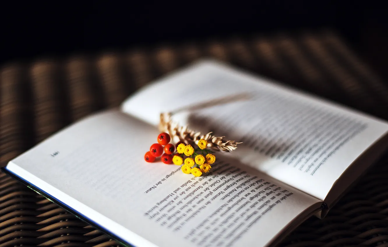 Photo wallpaper flowers, text, berries, spikelets, book, page