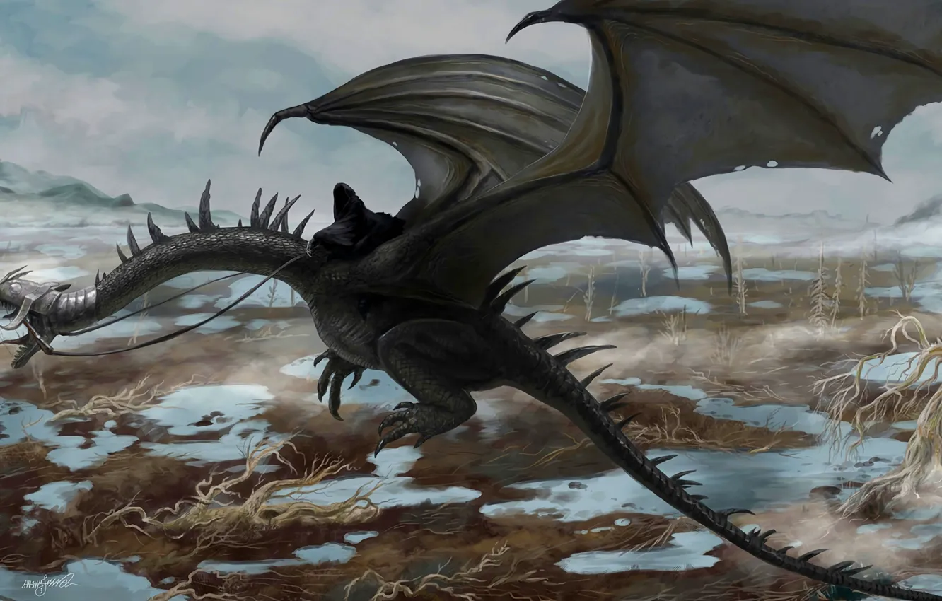 Photo wallpaper the Lord of the rings, art, Ghost, Nazgul, The Dead Marshes, Ulairi