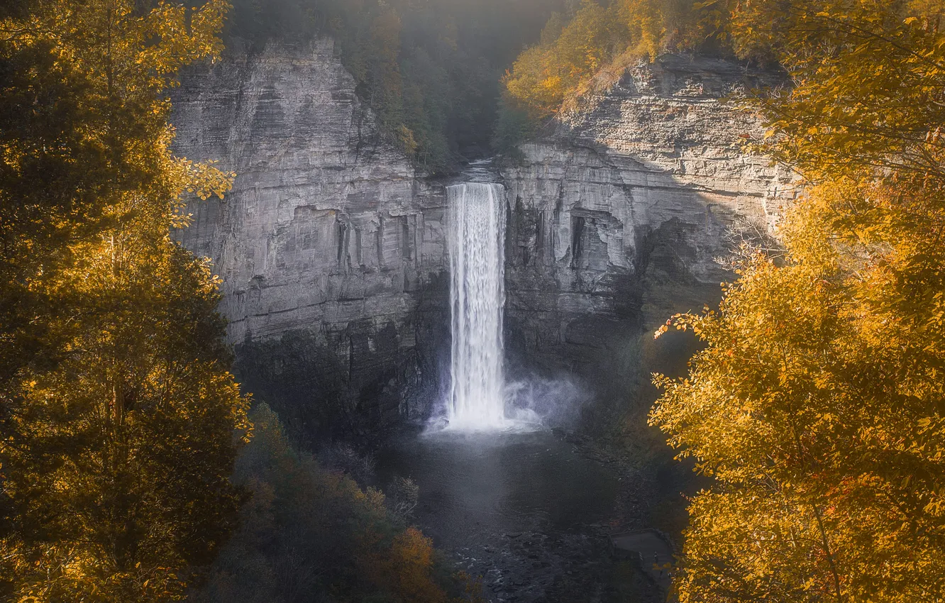 Photo wallpaper autumn, light, trees, fog, rocks, waterfall, shadow, stream