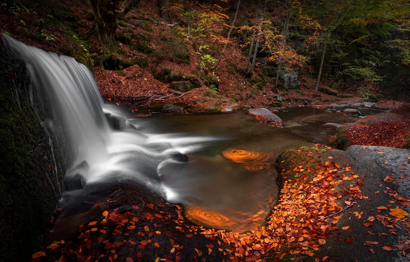 Photo wallpaper autumn, forest, leaves, landscape, nature, stones, waterfall
