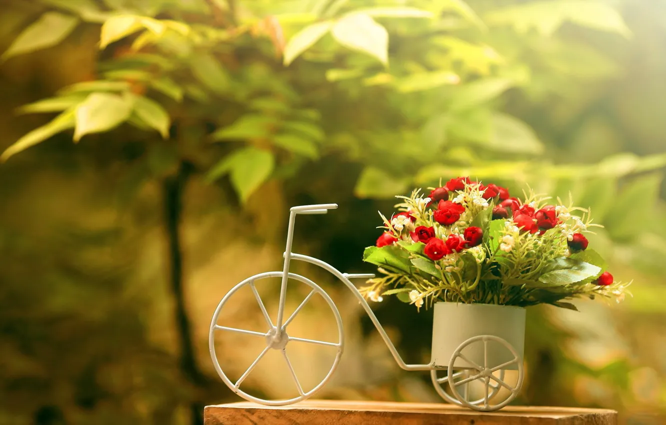 Photo wallpaper greens, flowers, bike, foliage, bouquet, red