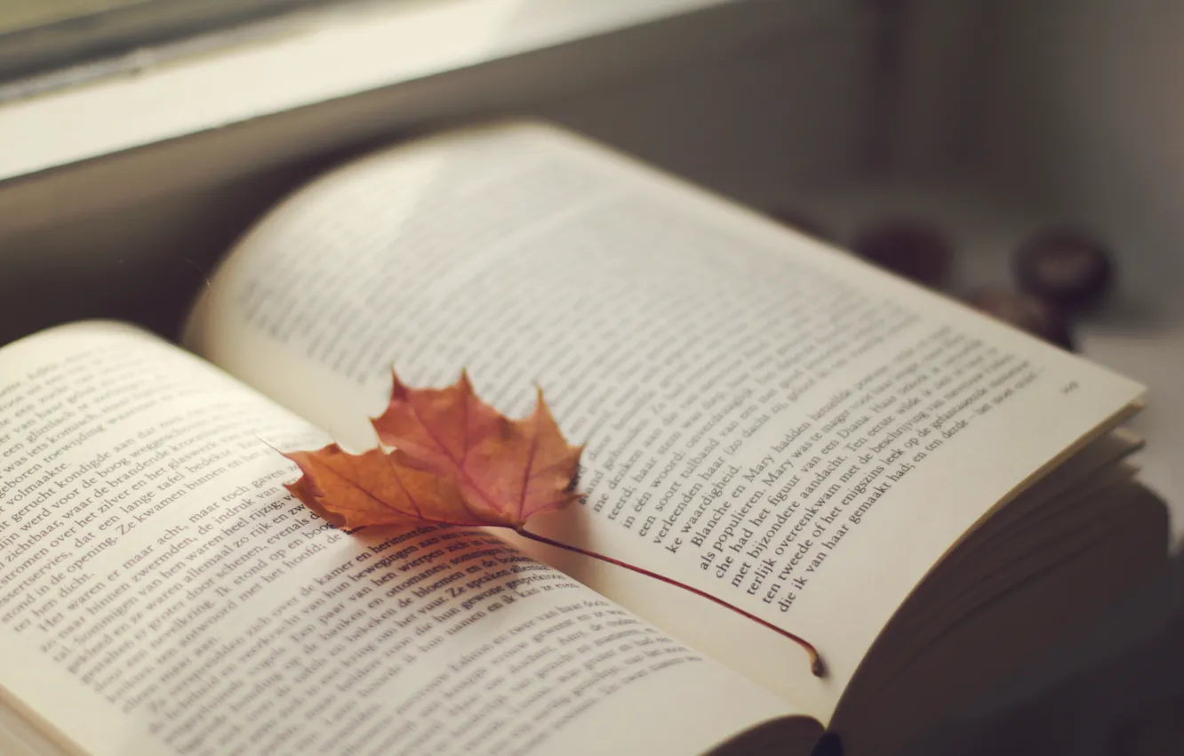 Photo wallpaper leaves, text, book, page, maple
