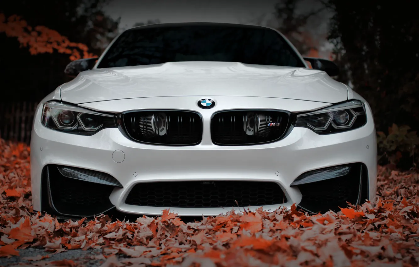 Photo wallpaper BMW, Front, White, Autumn, Face, F80, Sight, Aggressive