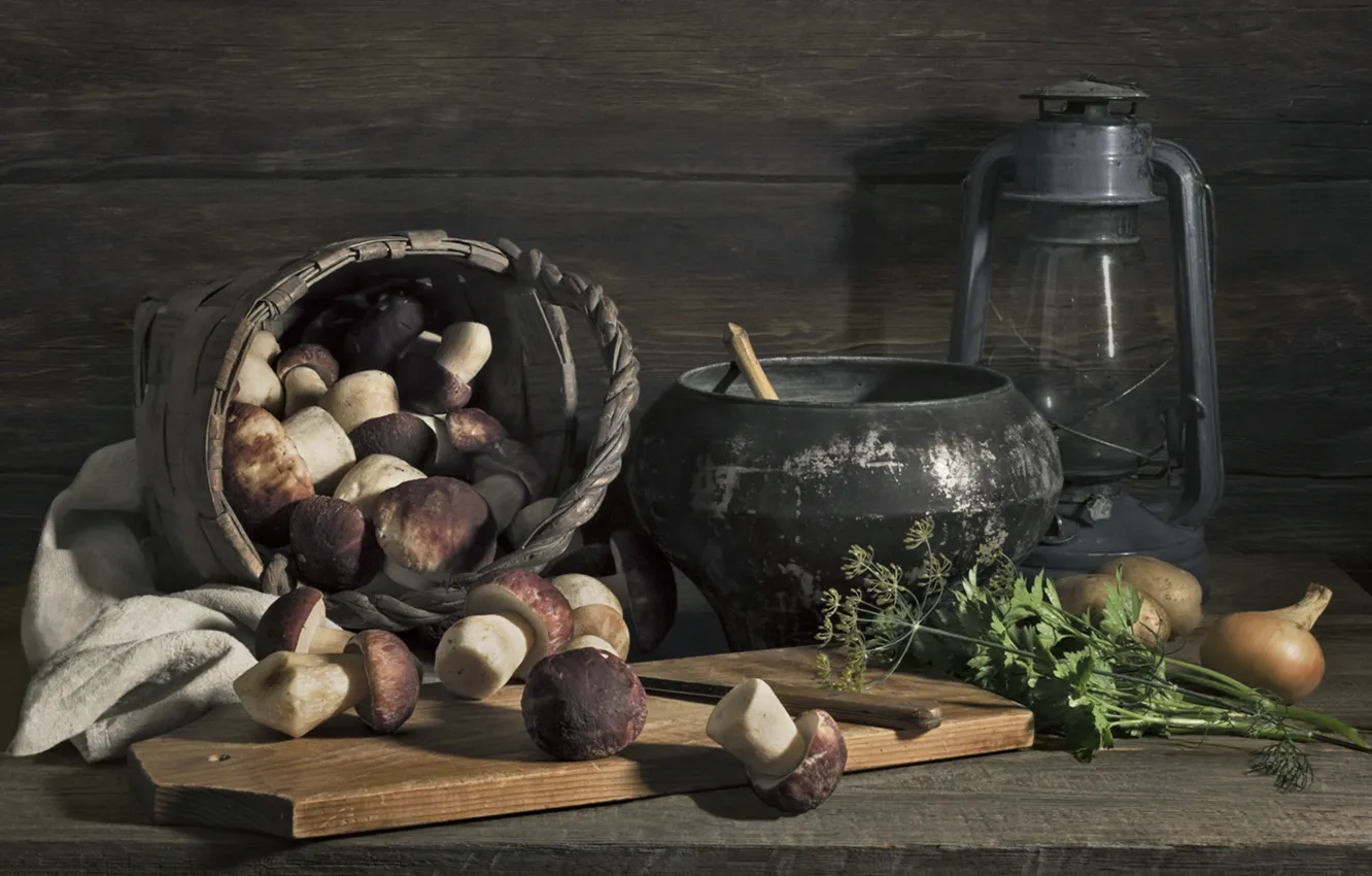 Photo wallpaper greens, mushrooms, lamp, bow, Borovik, the