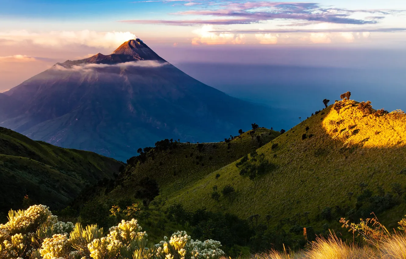 Photo wallpaper the sky, grass, the sun, clouds, trees, flowers, mountains, smoke
