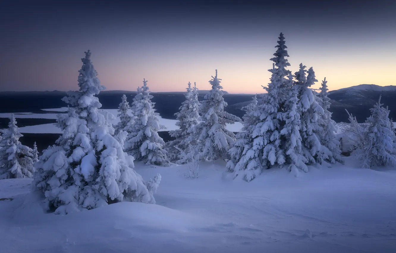 Photo wallpaper winter, forest, the sky, snow, river, the evening, ate, the snow