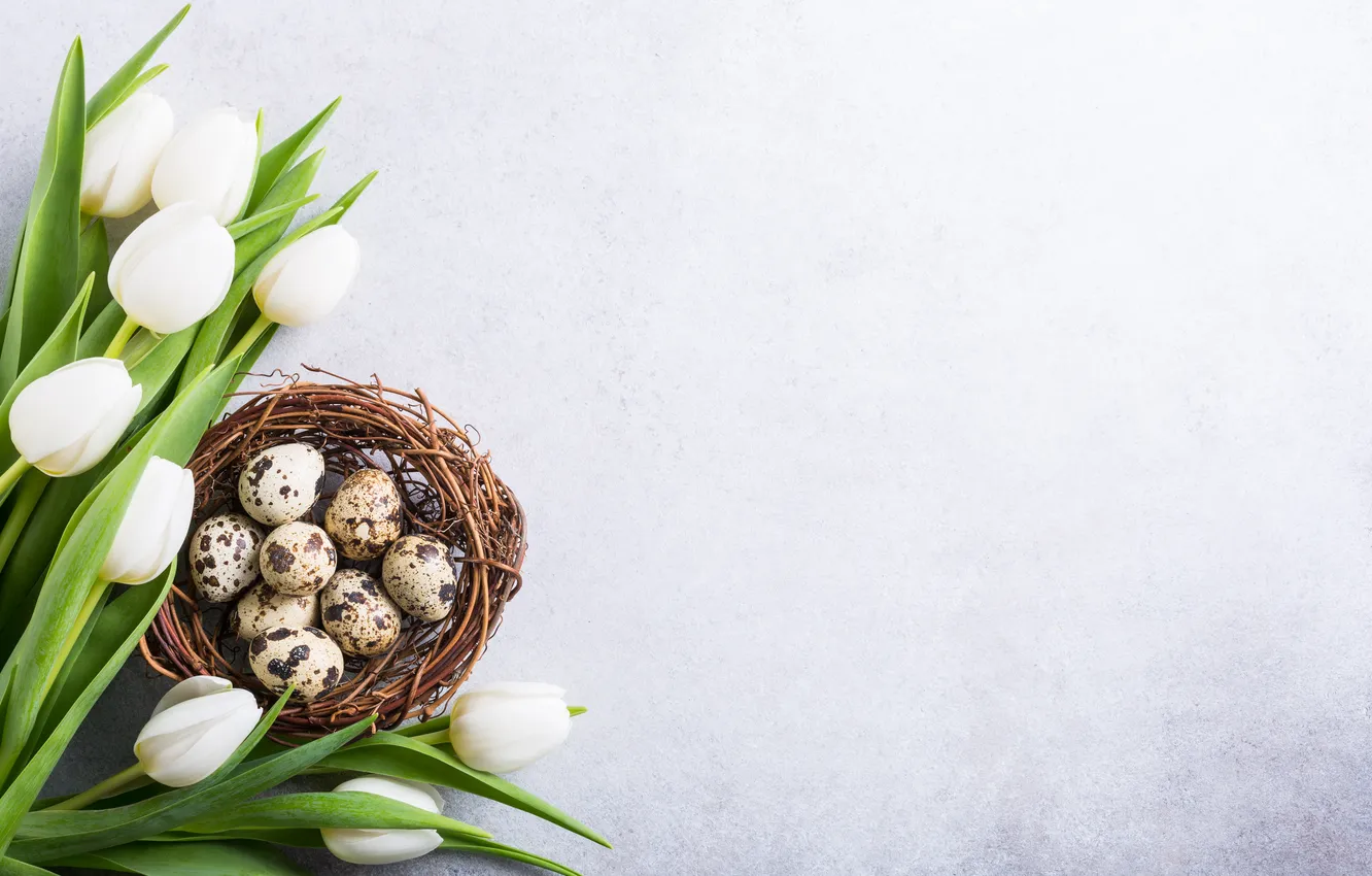 Photo wallpaper flowers, eggs, spring, Easter, tulips, white, happy, flowers