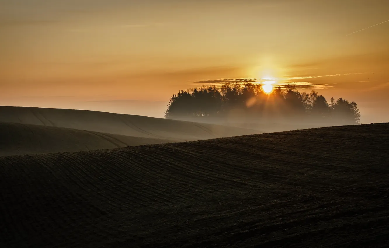Photo wallpaper field, landscape, sunset